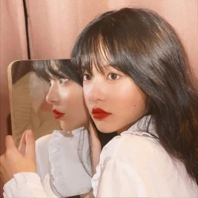 玫瑰